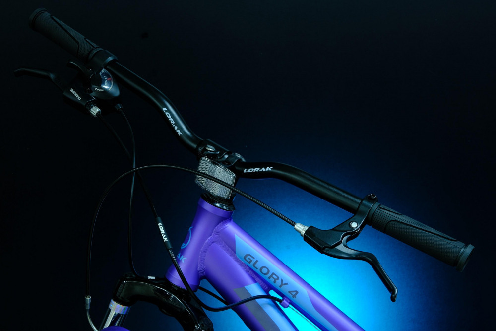 Lorak Glory 4 Матовый Фиолетовый/Голубой рама 17 (на рост 155-173)