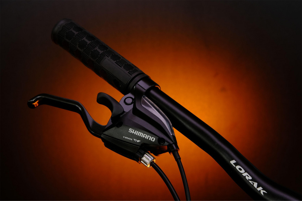 LORAK Fast Brown 29 Матовый Чёрный рама 19 (на рост 171-182)