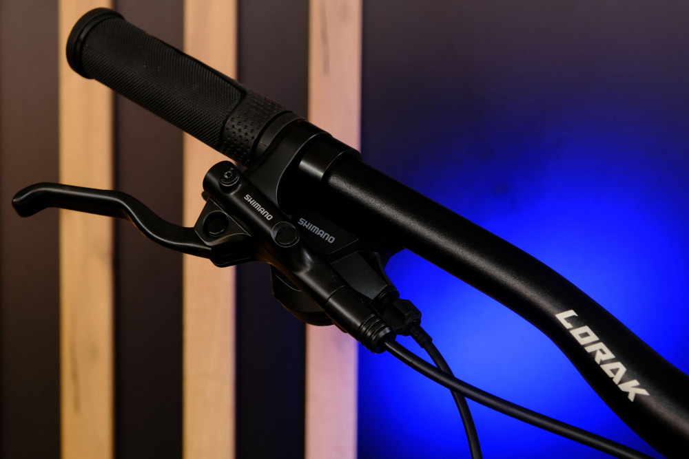 LORAK Sel 8900 HD NEW Матовый Чёрный/Синий рама 19 (на рост 171-182)